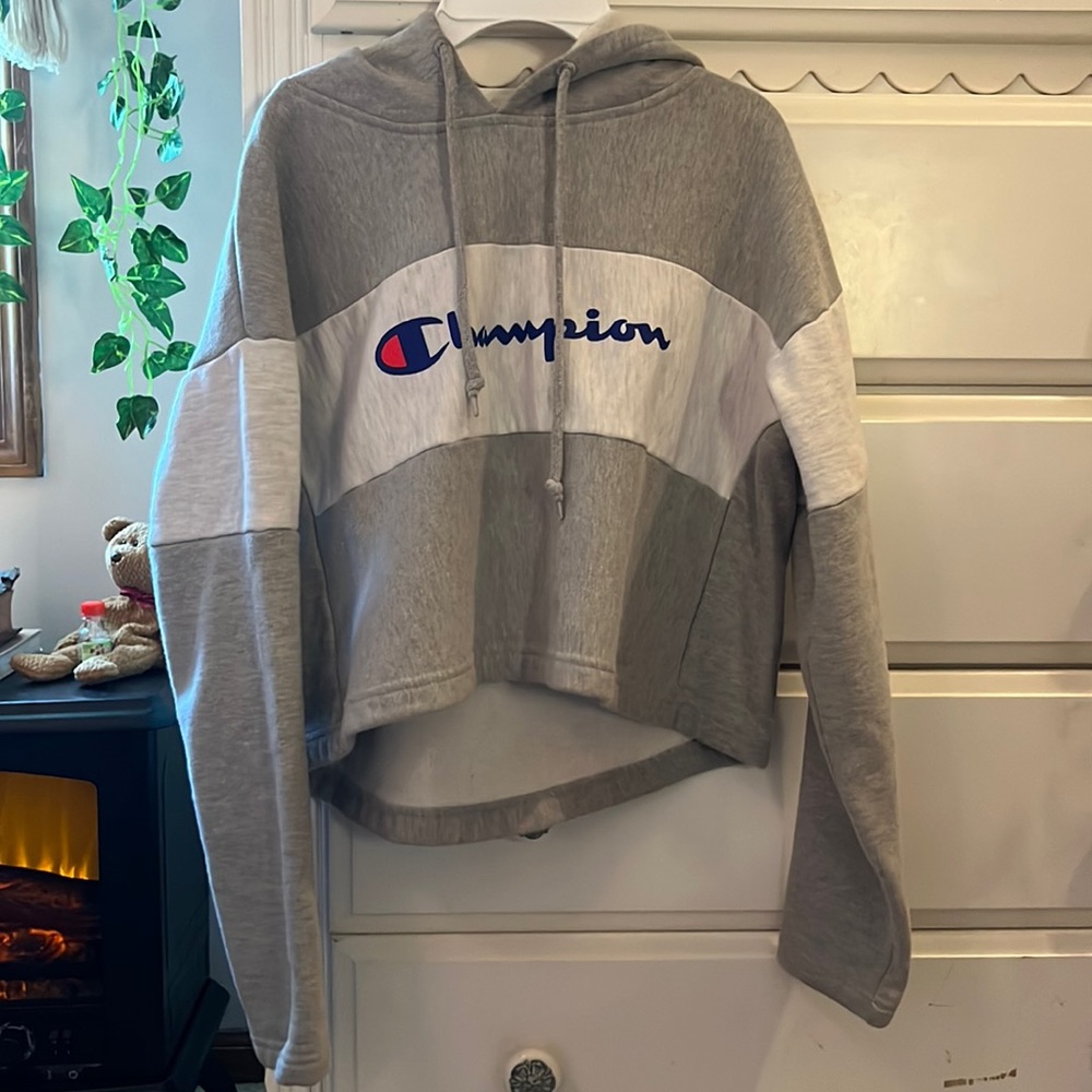 Champion sweatshirt